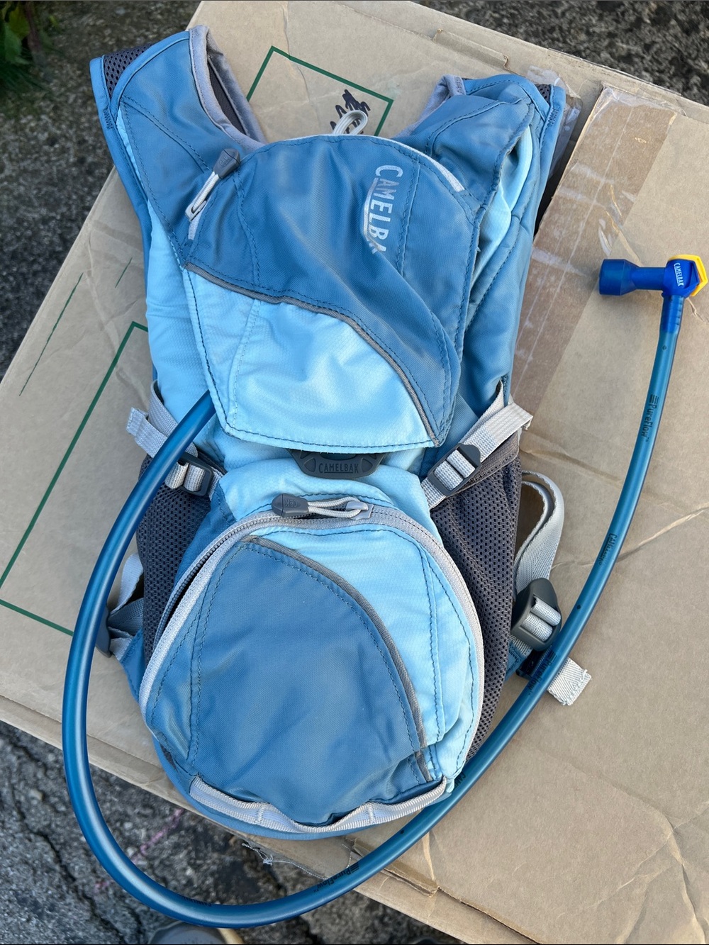 CamelBak Light Blue and Blue Hydration Backpack